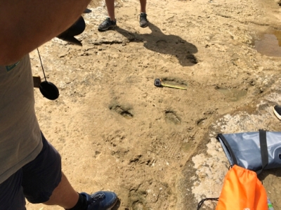 Découverte des plus anciennes empreintes de pieds humains d’Afrique du Nord et du sud de la Méditerranée sur le littoral de Larache